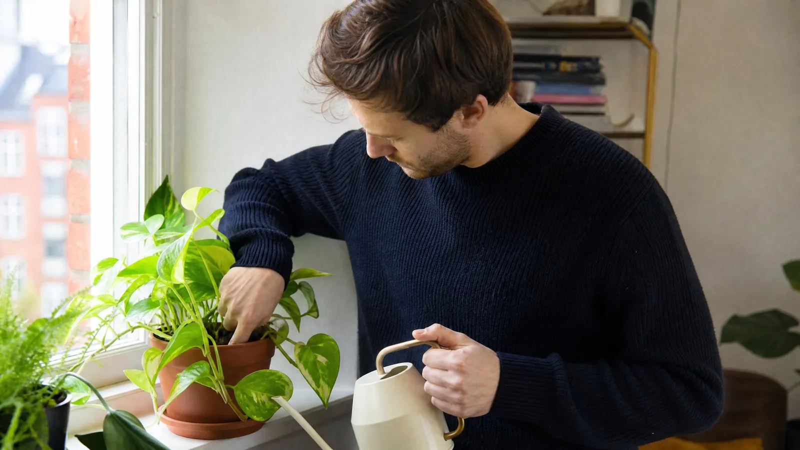 A man at a windowsill pushes his index finger into the soil of a potted pothos to check moisture while holding a small watering can in natural window light.