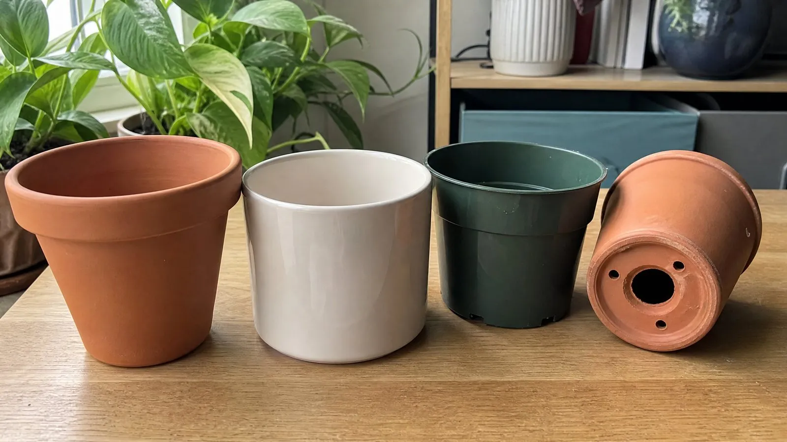 Several empty pots in different materials lined up on a wooden table—a terracotta pot, a white glazed ceramic pot, and a plastic nursery pot, with one turned over to show the drainage hole, lit by soft natural side light in a realistic photo.